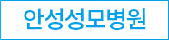 안성성모병원